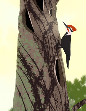 TTW poster