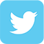 tweeter pip